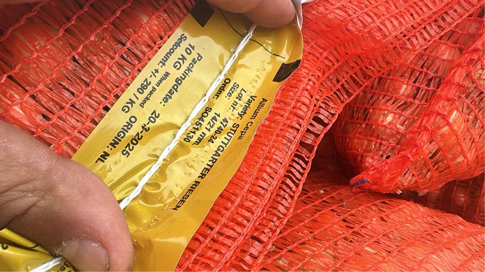 Vand arpagic stuttgarter