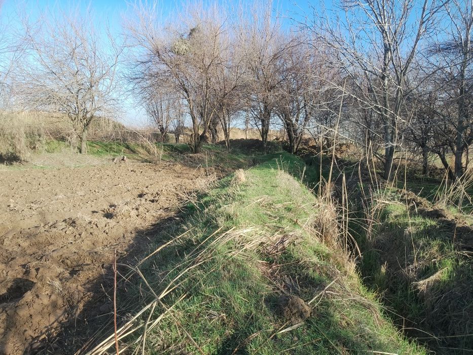 Бука мфй  Уй сотилади 5 хонали гараж бог