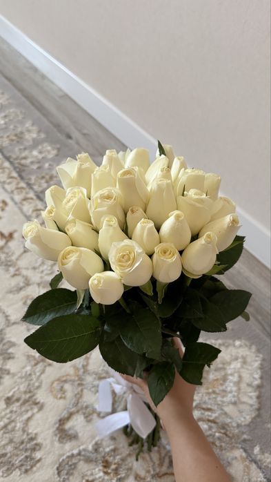 33шт ак роза,свежий