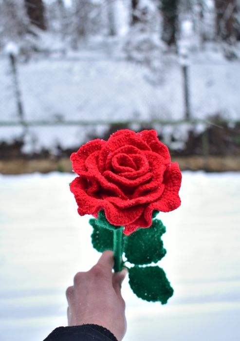 Ръчно платени лалета