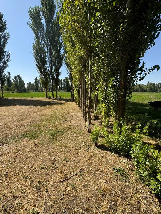 Участка сотилади СРОЧНО !!! 3500$