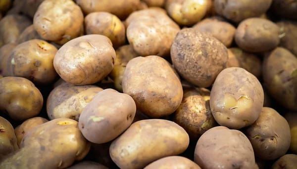 Продам картофель дачный