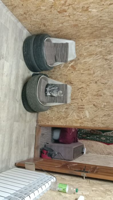 Шиномонтаж сдам в аренду