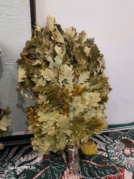 Дубовые веники для бани.