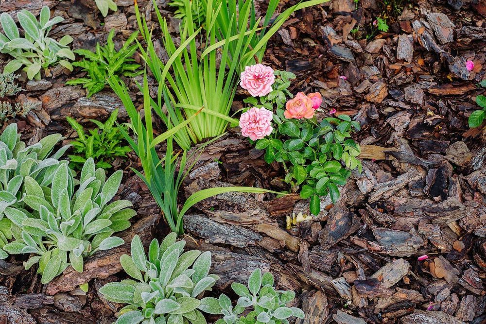 Озеленение | газон | автополив