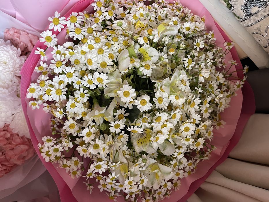Продам свежие цветы