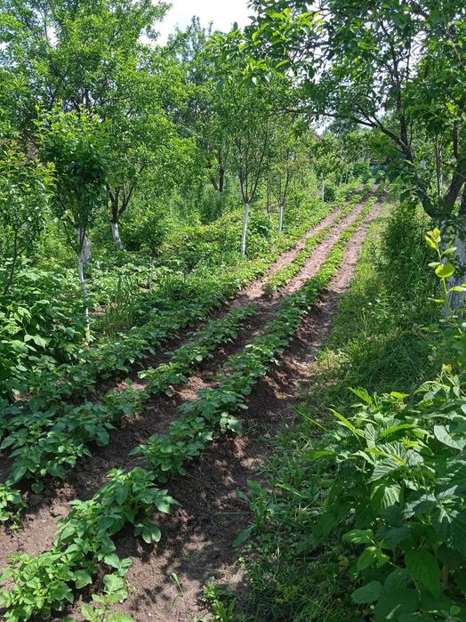 Продава се Къща в Антоново - 90 кв.м за 397 €/кв.м - Снимка #1