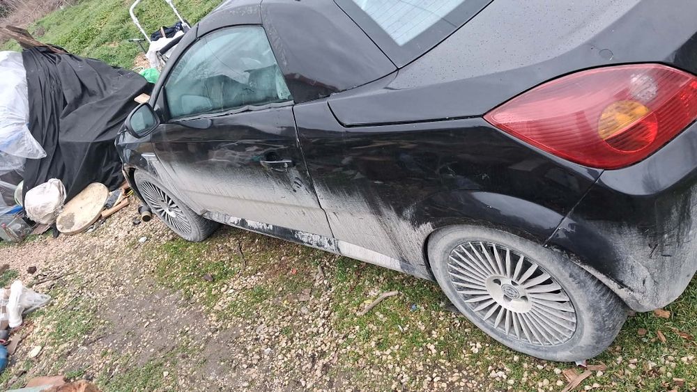 Опил тигра 2006 г