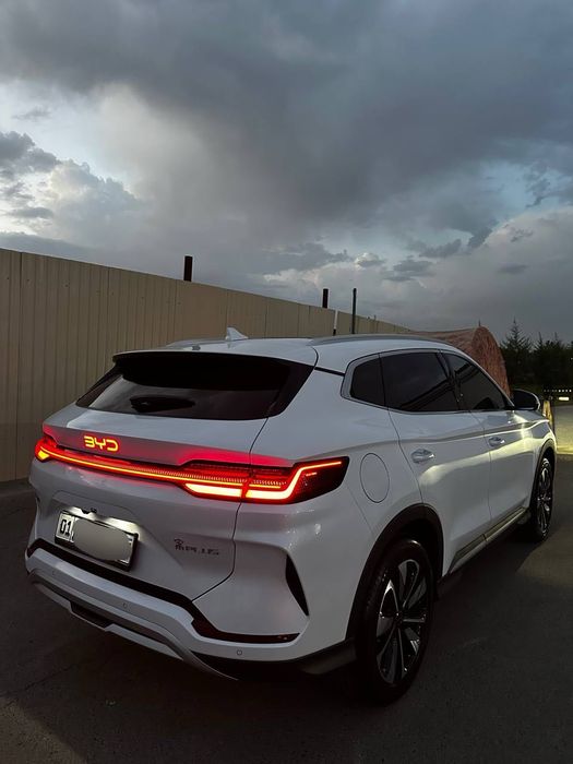 BYD Chempion Restaling