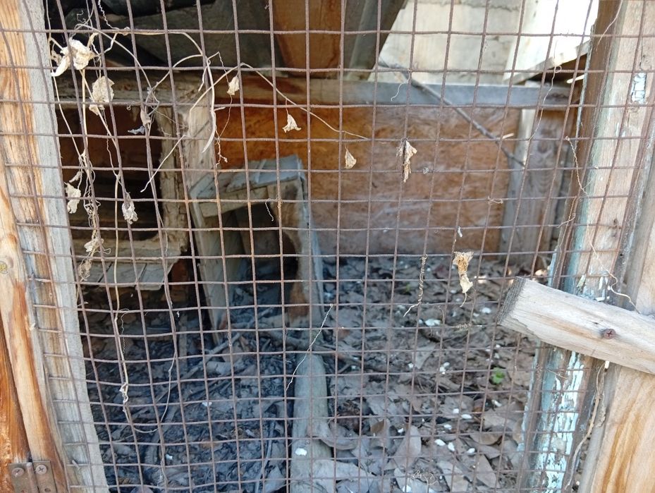 Клетки для кроликов