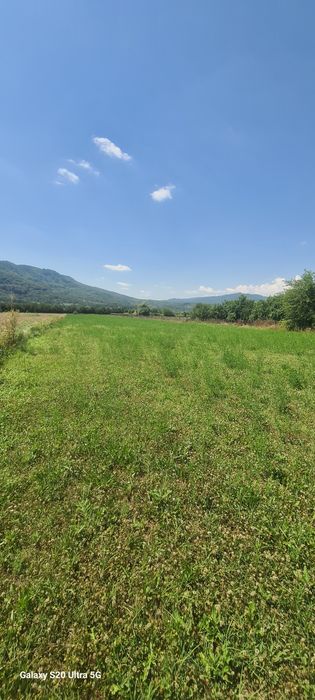 Teren intravilan Jiblea Nouă. Călimănești 6558m