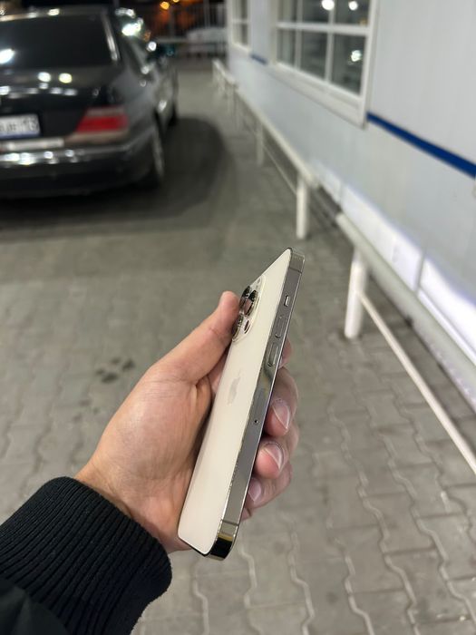 Iphone 13 pro  256g