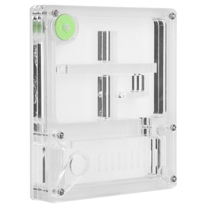 Муравинная ферма для начинающиеся калоний средних видов