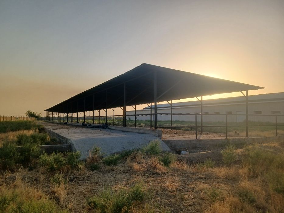 Здание и сооружение, Большая современная ферма