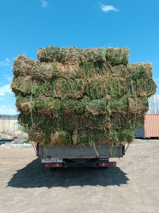 жоңышқа прес бар