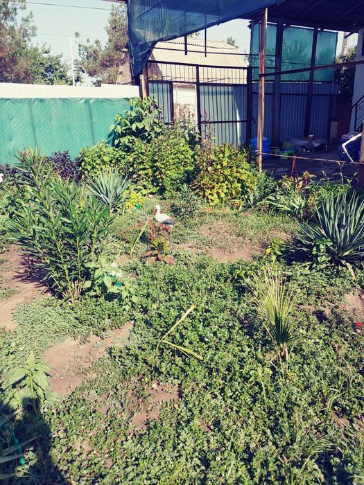 Продаётся дача 6 соток