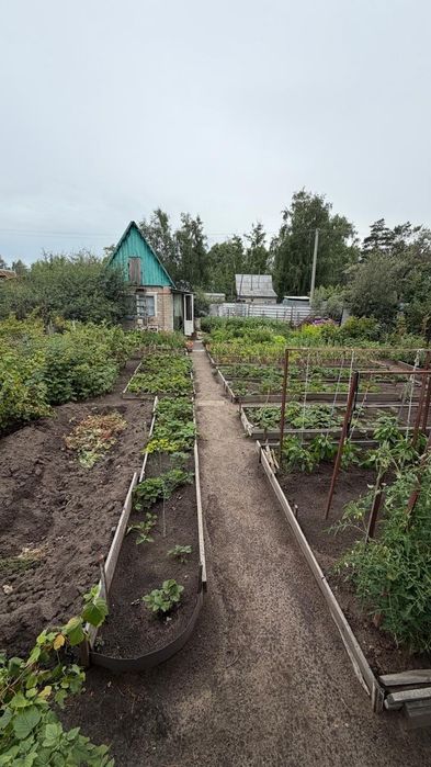 Продам дачу Горизонт ( не доезжая до Солнечного)