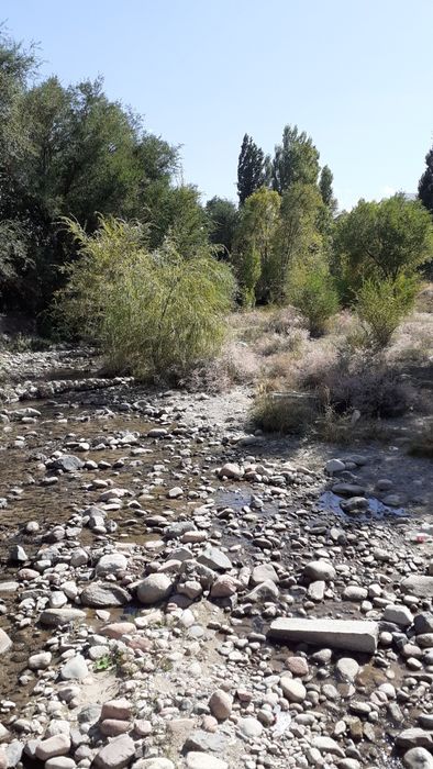 Дача в пос. Жандосово