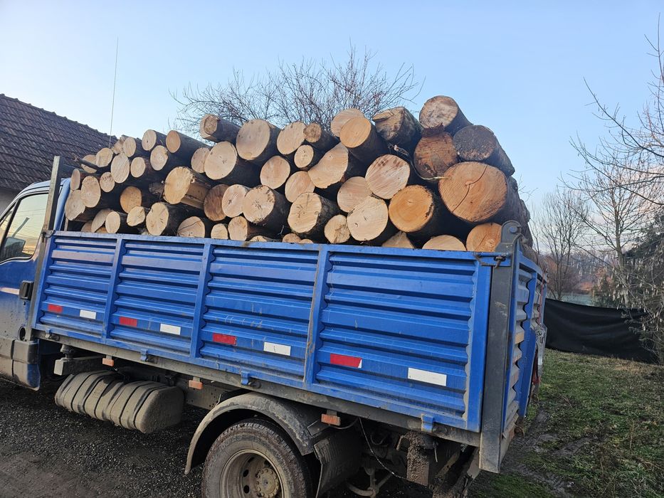 Tai lemne cu moto ferăstrău Stihl.
