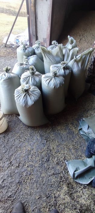 Продам ячмень в мешках