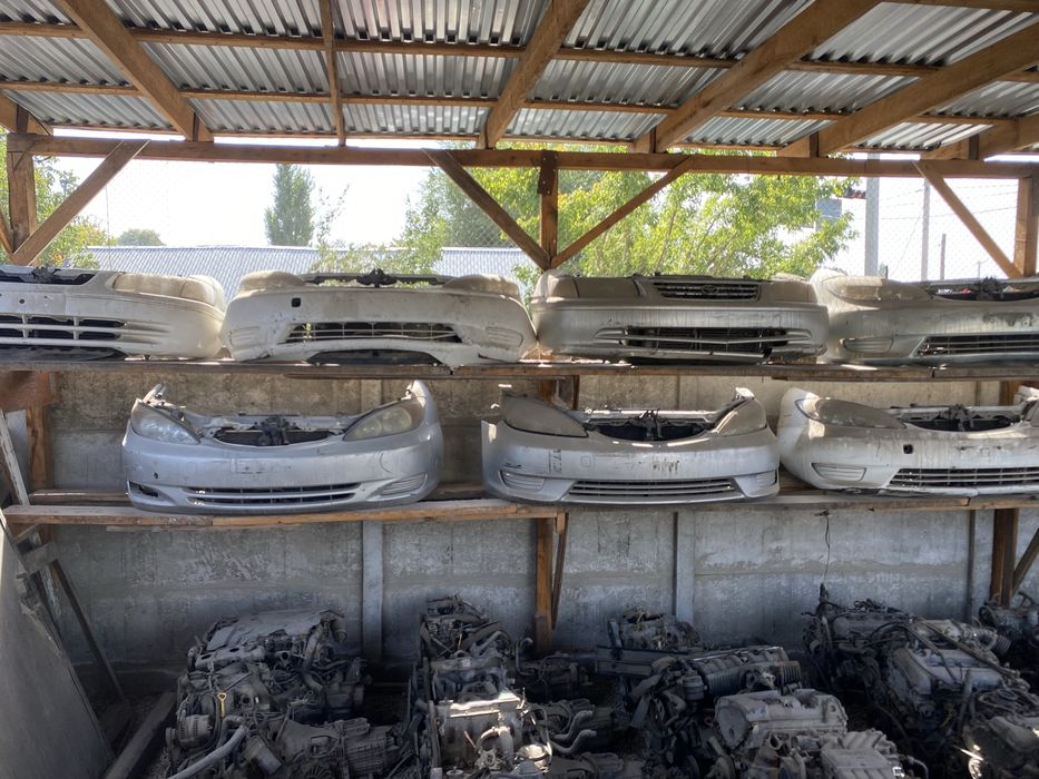 Ноускаты(мини-морды) Камри 30-35