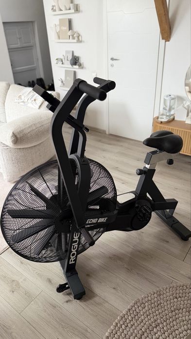 Rogue Echo Bike V2.0 - Bicicleta Crossfit Assault