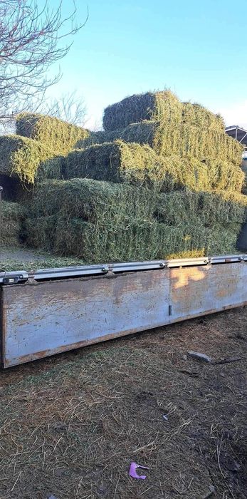 Бали люцерна 2026 година