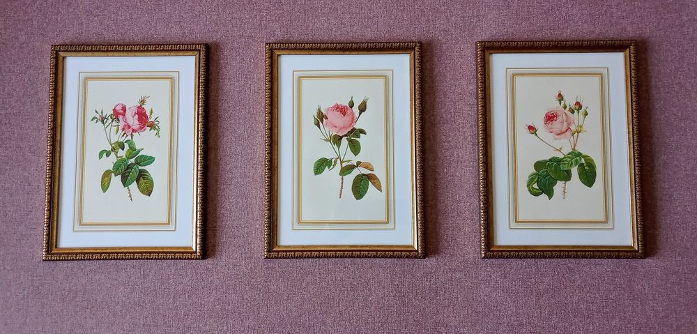 Картины- постеры "Розы-Винтаж-Виньетка".