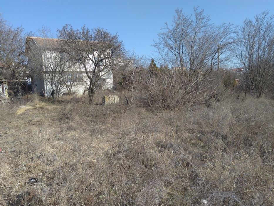 изрязване на трева храсти клони разумните цени