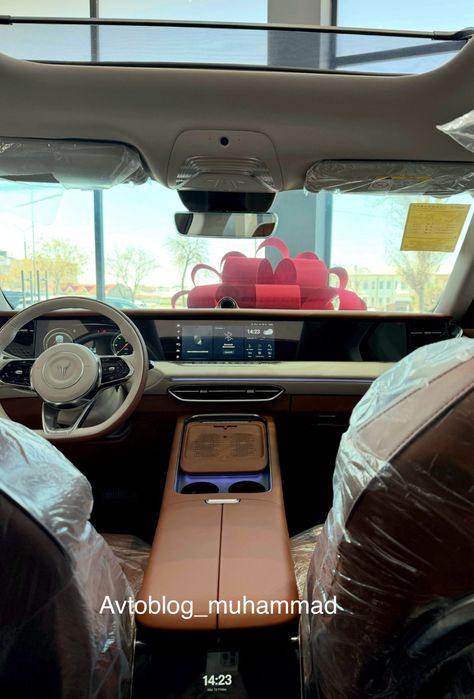 Voyah free Apollo tech 210