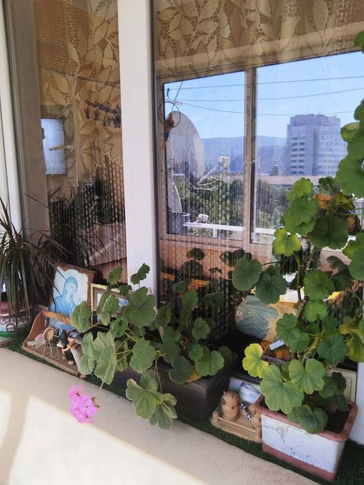 Продава се Етаж от къща в Перник, Клепало - 65 кв.м за 1428 €/кв.м - Снимка #17