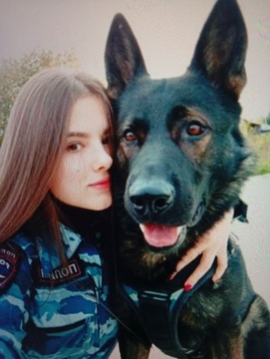 Кинолог, выезд .