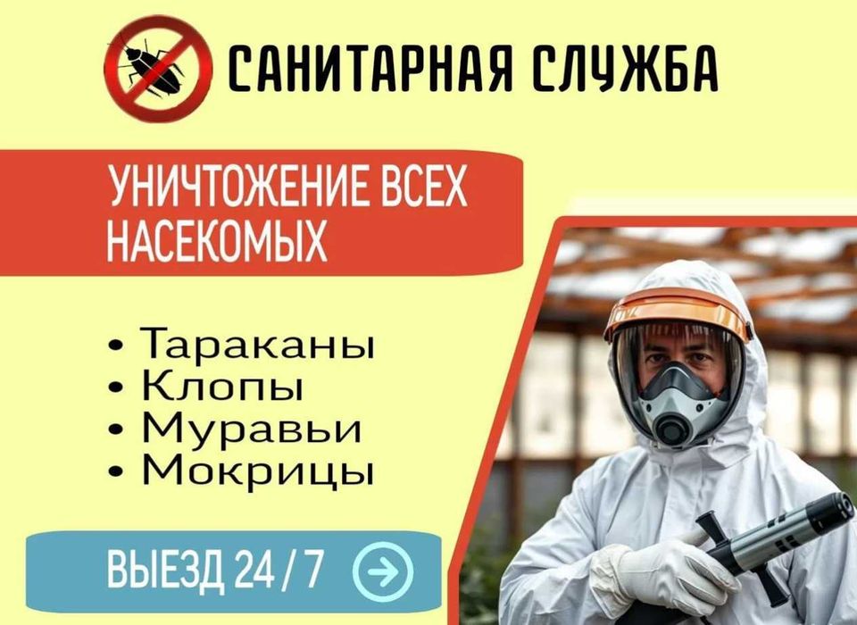 Klop klapa tarakan запахи плесень Dezinfeksiya клапа клоп таракан D10