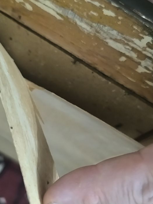 Tablou 45 x65 pepene si struguri