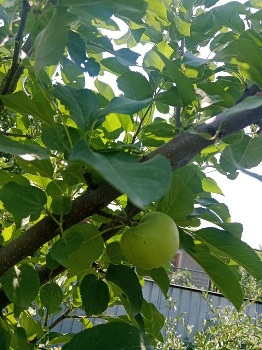 Срочно продается дом