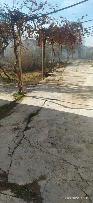 Uy sotiladi 20 so'tig'li uy srochna narxini kelishamiza kelishtiramiz