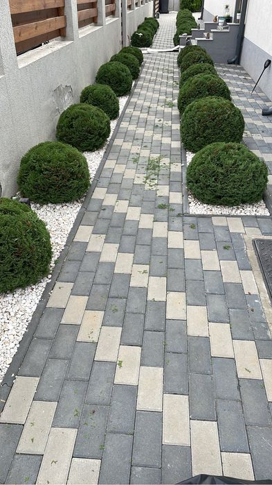 Amenajari gradini si Montaj Pavele , Proiecte Peisagistica