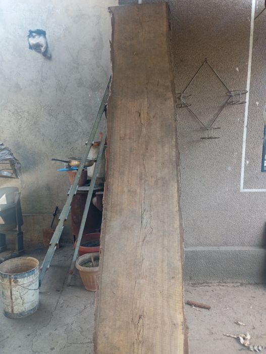 Продам карагач.(Целый)