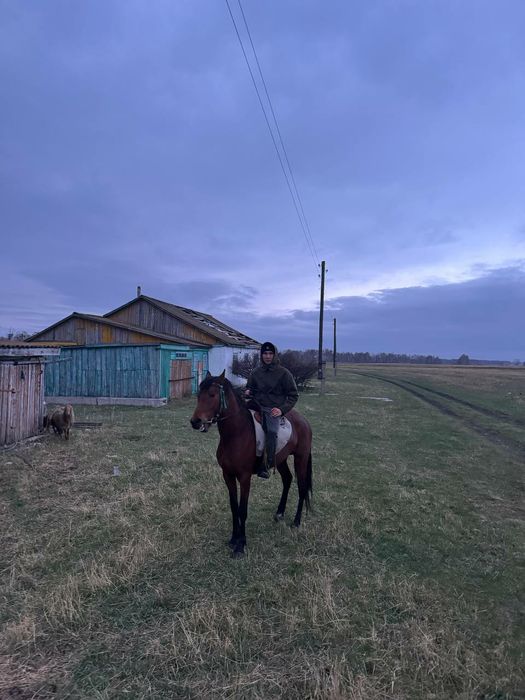 3 жасар сатылады