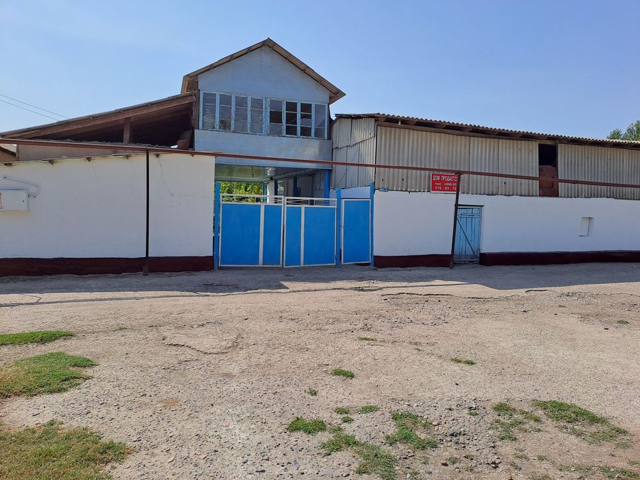 Turar Joy Kotta Xovli