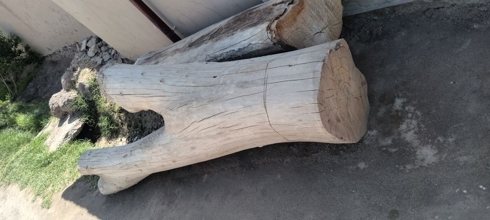 Gusht maydalagichga xuna dastgoxi