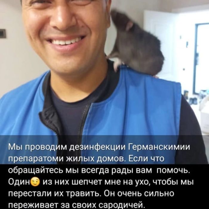 Поможем избавиться от насекомых клопов обработка от тараканов муравьев