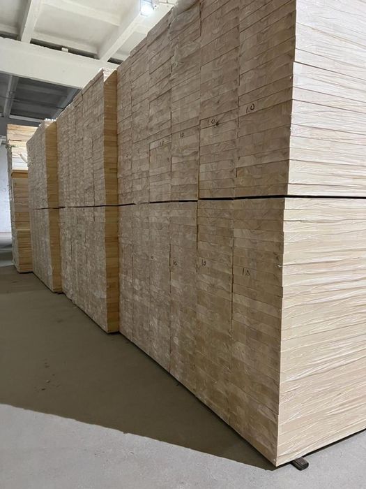 Сосна ступень экстра-сращенная.