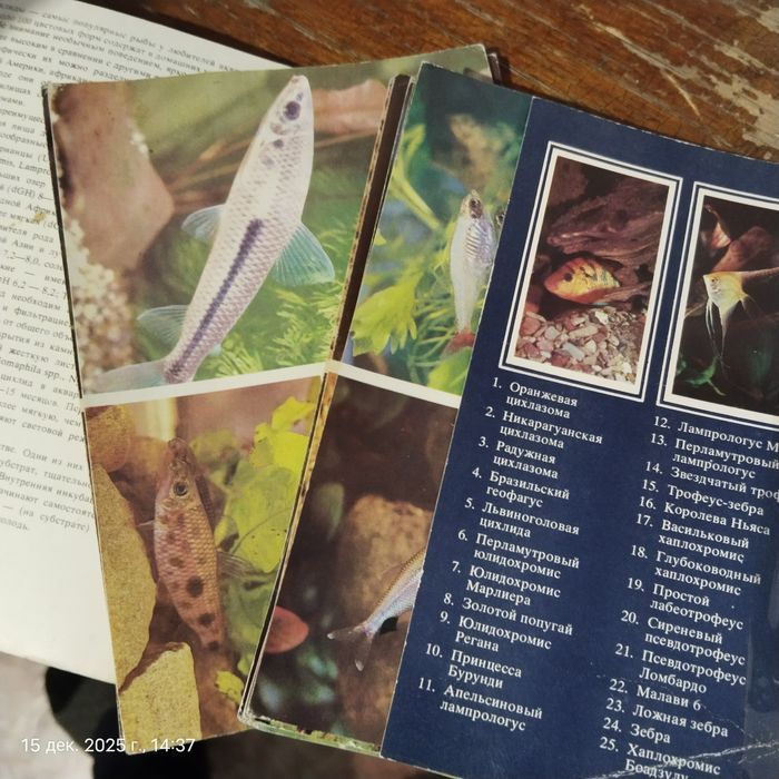 наборы открыток.ссср.