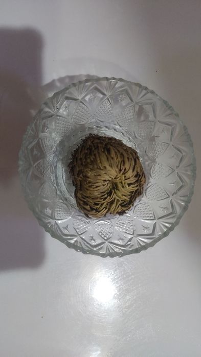 Иерихонская роза 500тг