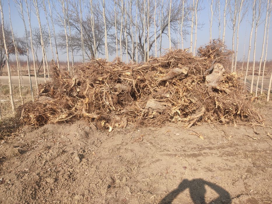 Утин сотилади срочно