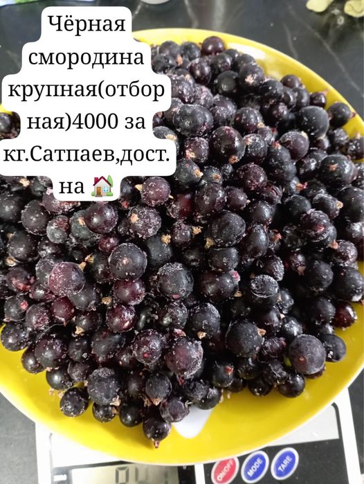 Смородина замороженная