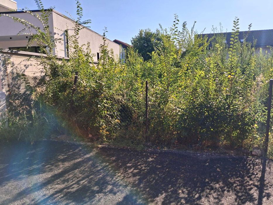 Vand teren Corbeanca Laguna Albastra 624mp 85000 Euro