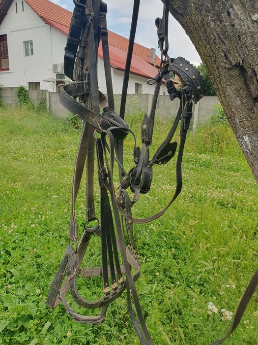 Vând căruță și ham