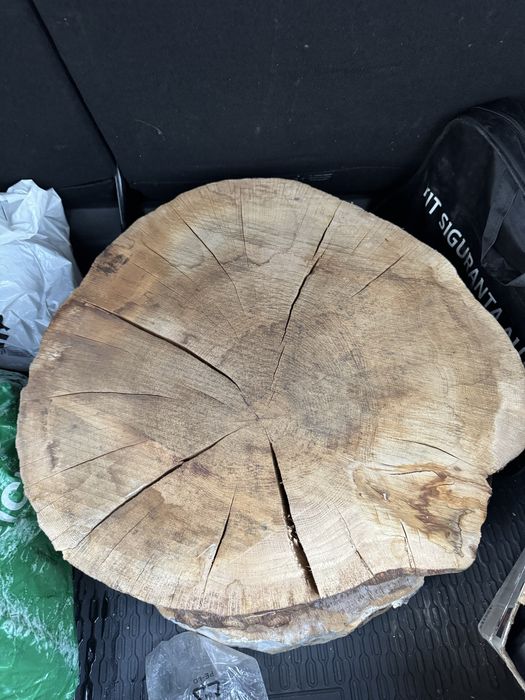 Felie nuc ptr masa de cafea- 55cm